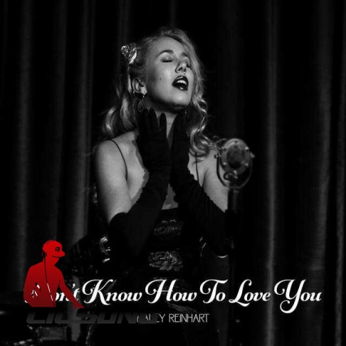 Haley Reinhart - Dont Know How To Love You